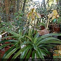 DSCN9827.JPG