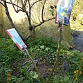 DSCN9724.JPG