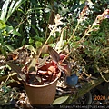 DSCN0100.JPG