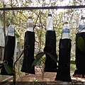 DSCN0229.JPG