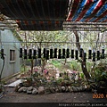 DSCN0226.JPG