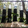 DSCN0228.JPG