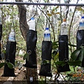 DSCN0227.JPG