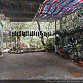 DSCN0233.JPG