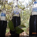 DSCN0225.JPG