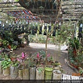 DSCN0231.JPG