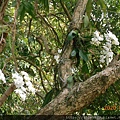 DSCN0408.JPG