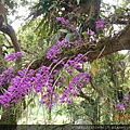 DSCN0517.JPG