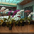 DSCN0645.JPG