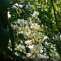DSCN0755.JPG