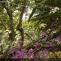 DSCN0757.JPG