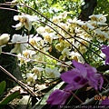 DSCN0754.JPG