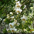 DSCN0752.JPG