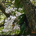 DSCN0770.JPG
