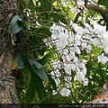 DSCN0768.JPG