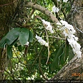 DSCN0767.JPG