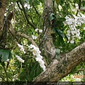 DSCN0769.JPG