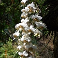 DSCN0916.JPG