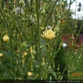 DSCN0959.JPG