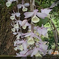 DSCN0994.JPG