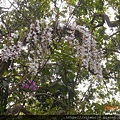 DSCN0991.JPG