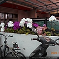DSCN1011.JPG
