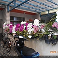 DSCN1010.JPG