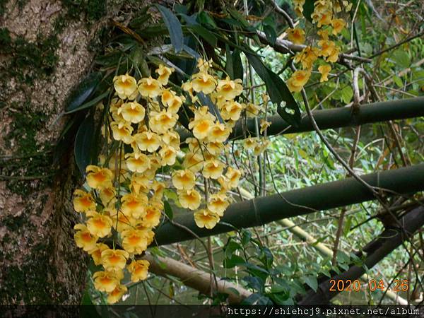 DSCN1052.JPG