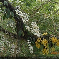 DSCN1036.JPG