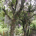 DSCN1037.JPG