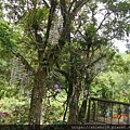 DSCN1040.JPG