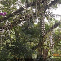 DSCN1044.JPG