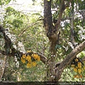 DSCN1075.JPG