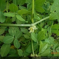 DSCN1159.JPG