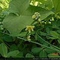 DSCN1171.JPG