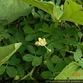 DSCN1172.JPG