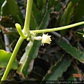 DSCN1163.JPG