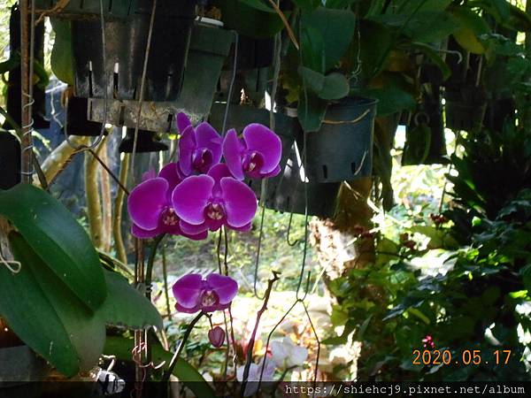 DSCN1438.JPG