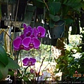 DSCN1438.JPG
