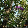 DSCN1424.JPG
