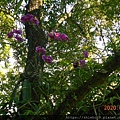 DSCN1425.JPG