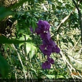 DSCN1422.JPG