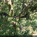 DSCN1427.JPG