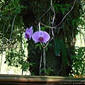 DSCN1428.JPG