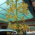 DSCN1576.JPG