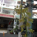 DSCN1573.JPG
