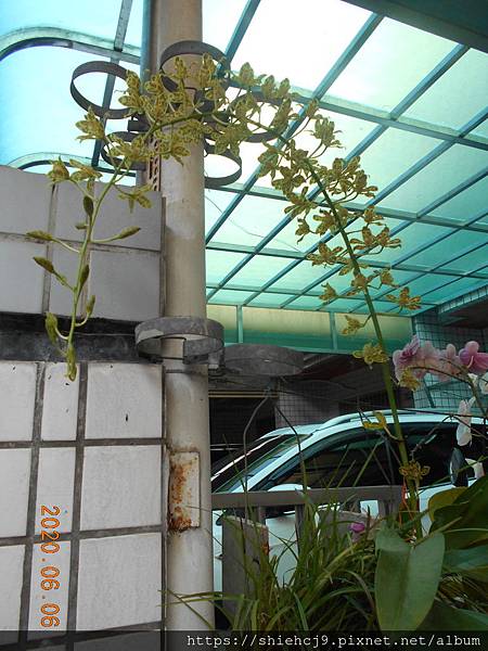 DSCN1751.JPG