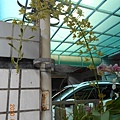 DSCN1751.JPG