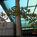 DSCN1752.JPG