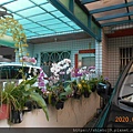 DSCN1754.JPG